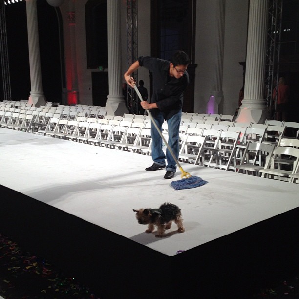 Dog on the runway @StyleFW #LaFW @theLaFashion