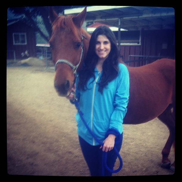 Got to spend the afternoon with my other baby #Zcinny #Arabian