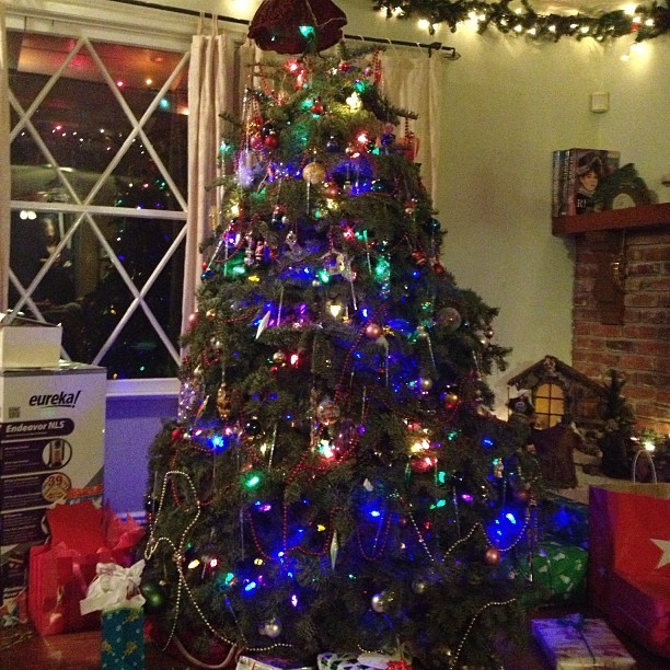 Merry Christmas everyone! #christmas #tree