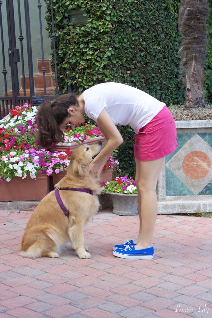 Lily & Keds,laura lily fashion blog, laura yazdi, blue neon keds, lily golden retriever, casual weekend style, los angeles fashion blogger, 