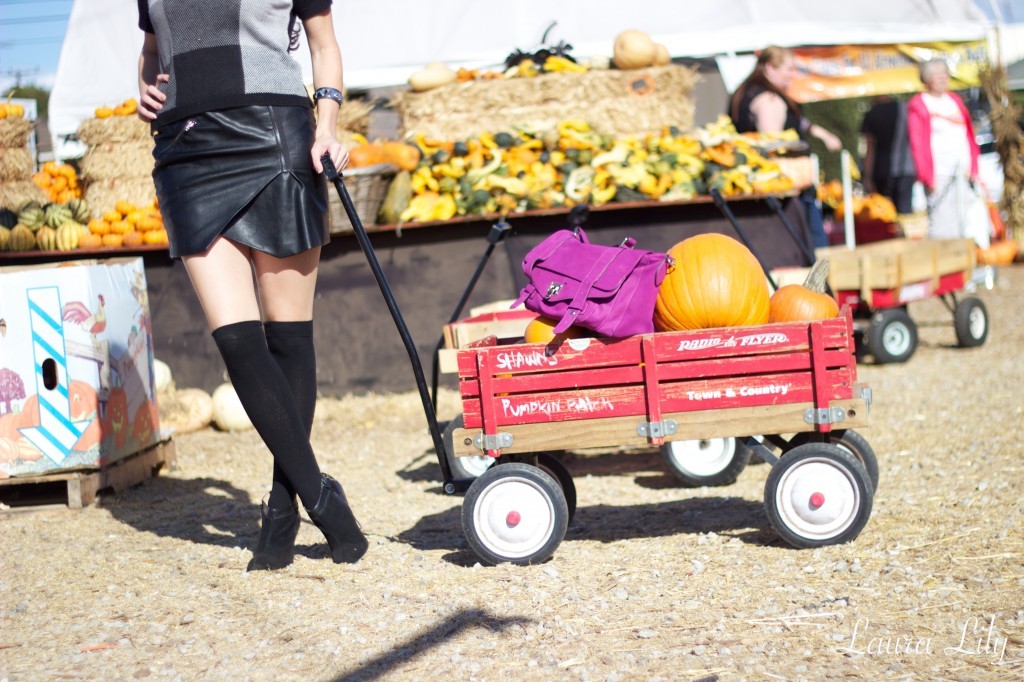 Happy Halloween 24,Halloween outfit, LA Fashion Blogger Laura Lily, leather Guess moto skirt, cropped plaid sweater, how to style knee high socks, budget fashion blog, pumpkin patch photo shoot, 