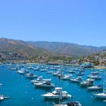 A Day on Catalina Island 