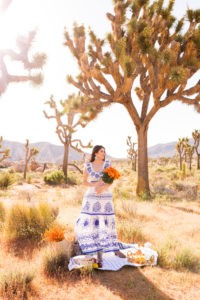 Moroccan Picnic Inspiration in the Desert by Fashion Blogger Laura Lily, Joshua Tree National Park,