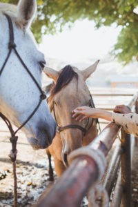 A Western Themed Stay at the Alisal Guest Ranch & Resort by Travel Blogger Laura Lily,