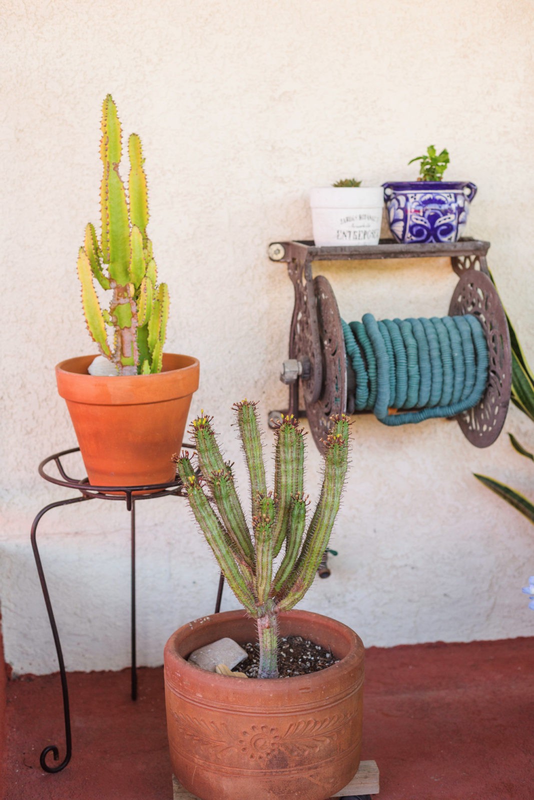 Patio Decor Ideas with Bed Bath & Beyond by Home Decor Blogger Laura Lily, Patio Planter Ideas,