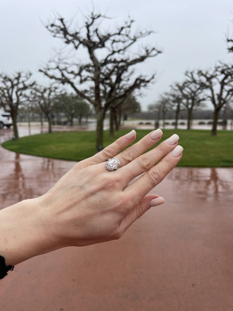 Our Engagement Story, Laura Lily Proposal,
